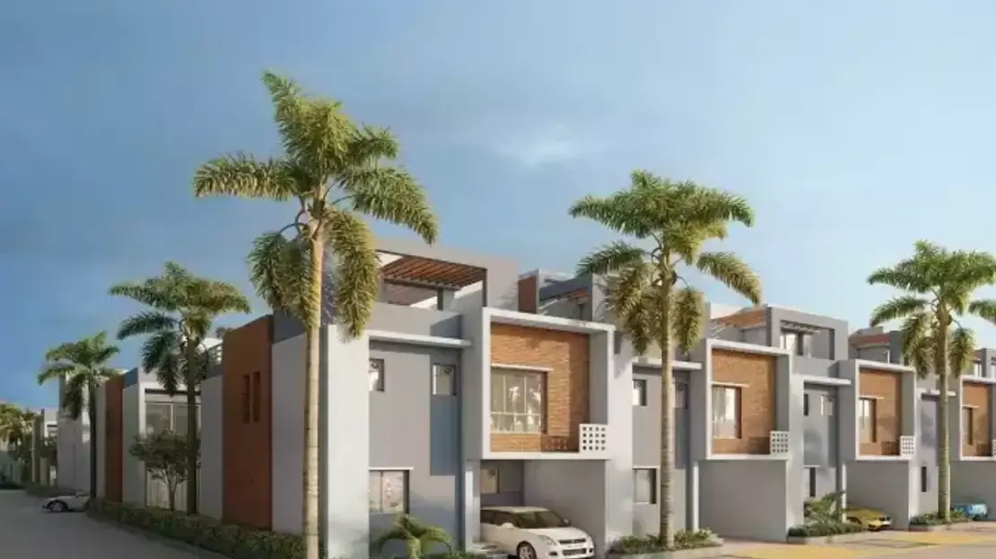 Dtc palm grove