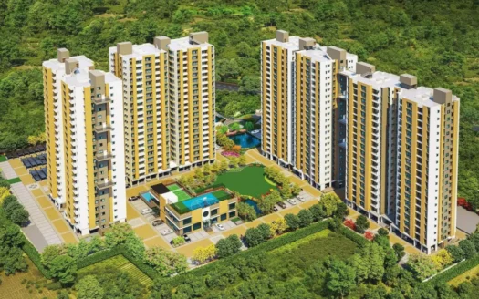 sunrise meadows elevation