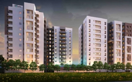 Belani Ayana madhyamgram